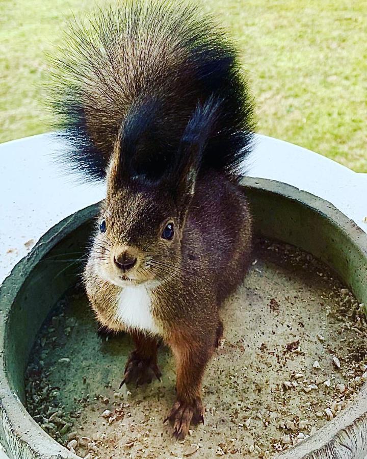 Fewo Fuchs Saig เลนซ์เคียร์ช ภายนอก รูปภาพ